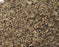 Shredded Beet Pulp Plain - Molasses FREE