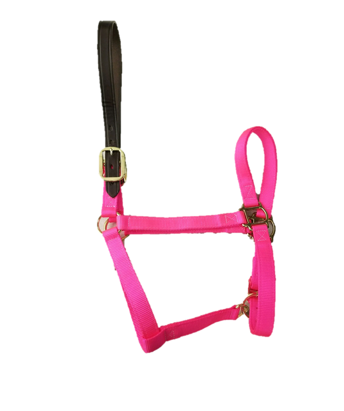 Flotteur PP pour bac de pâturage QUALIBAC PREMIUM - 6 à 26L/min Flotteur PP pour bac de pâturage QUALIBAC PREMIUM - 6 à 26L/min