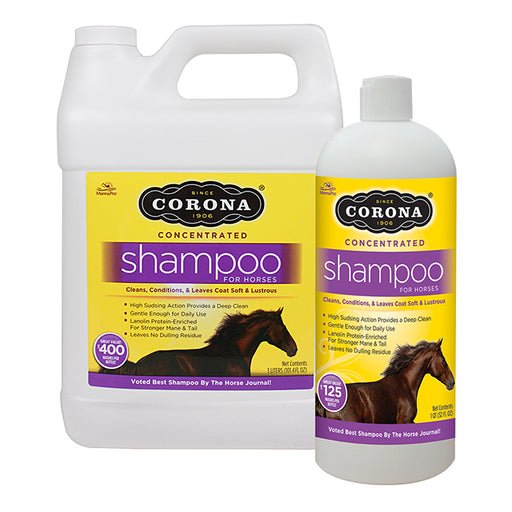 Corona Shampoo - Concentrated