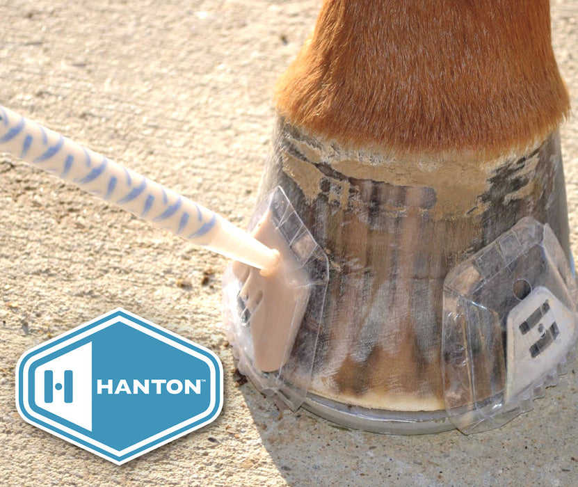 Hanton Horseshoes