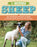 "The Backyard Sheep" Book