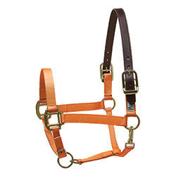Horse Halters