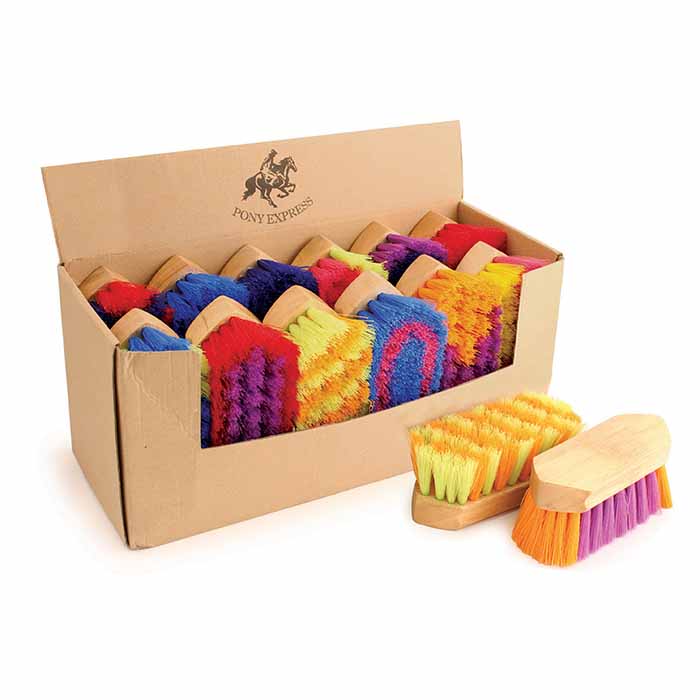 Assorted Grooming Brush 6"