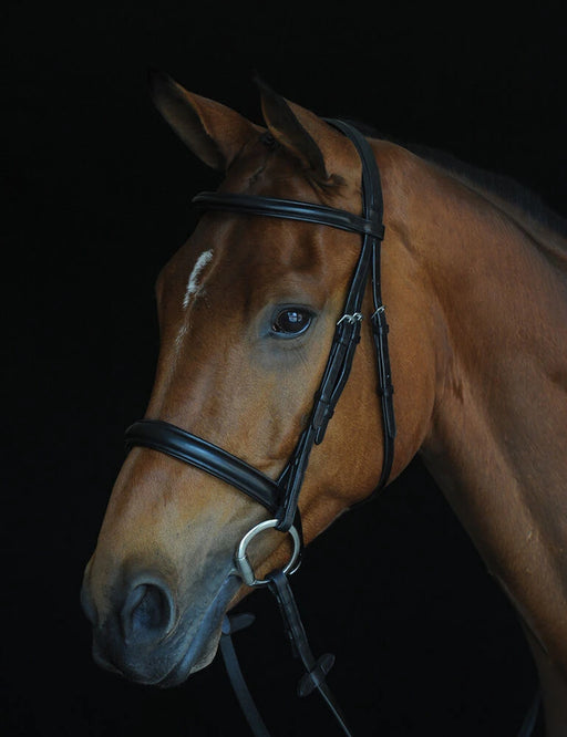 Collegiate Comfort Crown Padded Raised Bridle