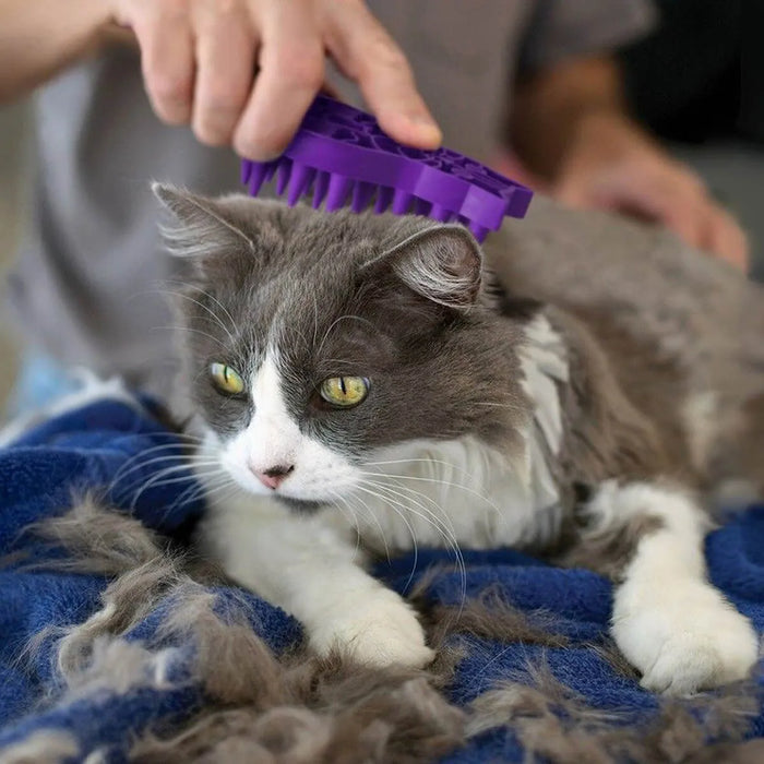 Kong ZoomGroom Cat Grooming Tool