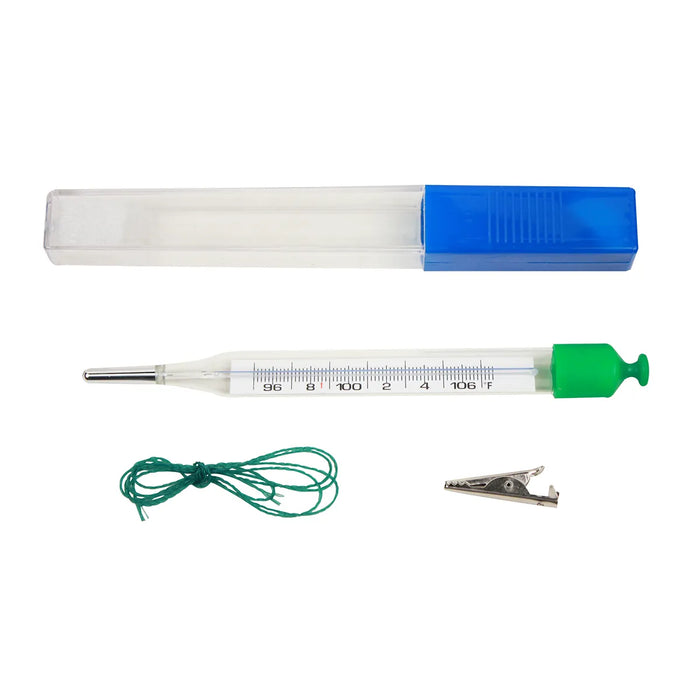 Thermometer Mercury-Free