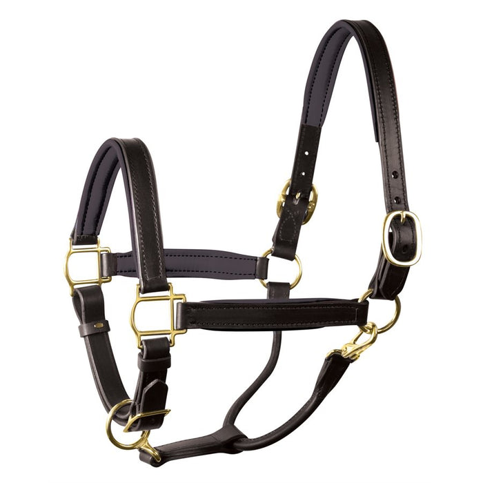 Leather Padded Halter- Oversized