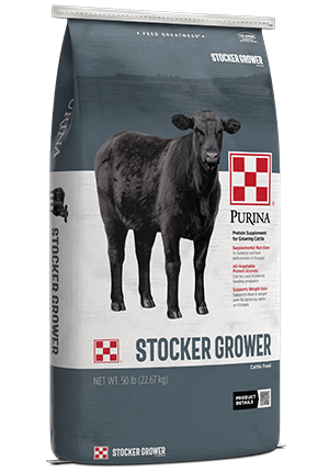 Purina 4 Square Starter/Grower 14%