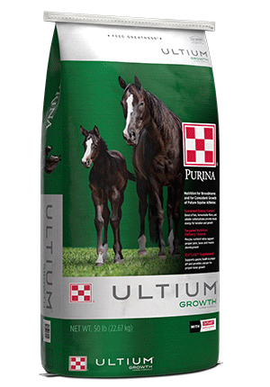 Purina Ultium Growth Broodmare 50lbs Pellet/Extruded