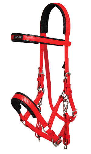 Marathon Bridle