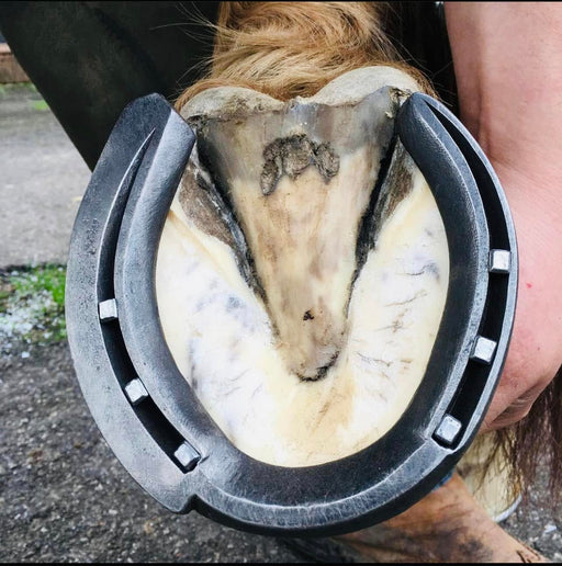 Farrier's Day 2026 Registration