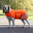 Equi-Flector Dog Coat