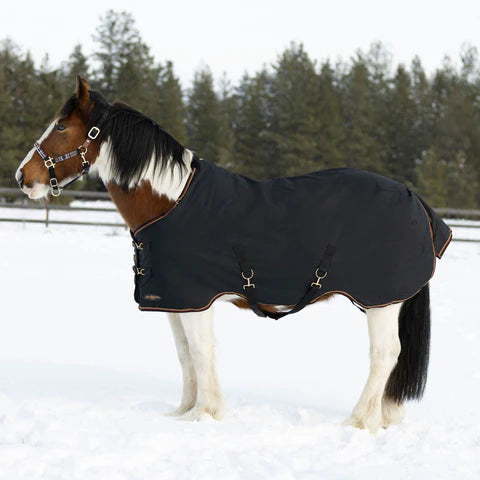 Draft 1200D Sig Turnout Blanket 180G Medium Weight