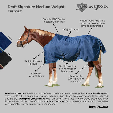 Draft 1200D Sig Turnout Blanket 180G Medium Weight