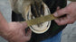 Brass Hoof Balance Ruler 12"