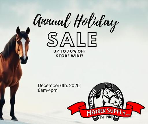 Annual Christmas Sale 2025