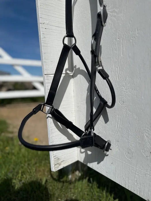 Draft Halter - 1" Beta with Rolled Noseband