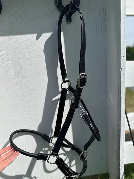 Draft Halter - 1" Beta with Rolled Noseband