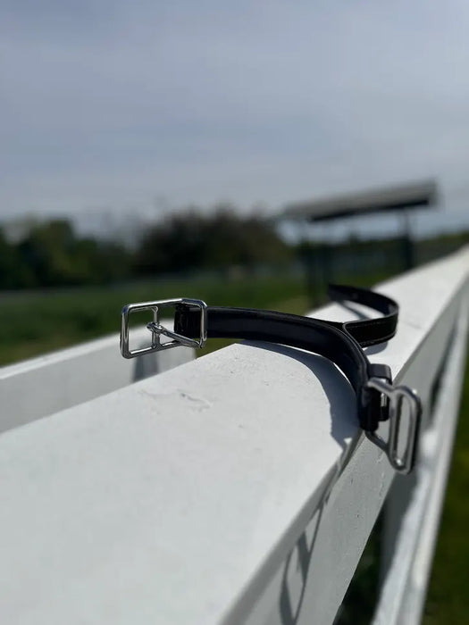 Shaft Loop Quick Release - Draft