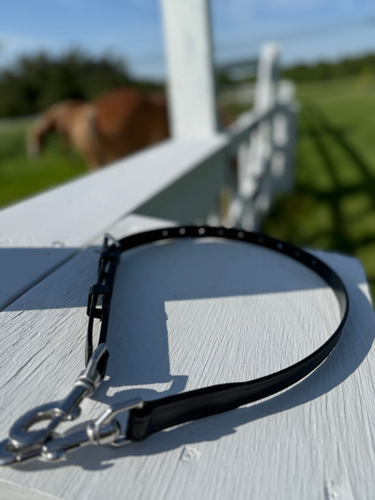 Bitting Reins