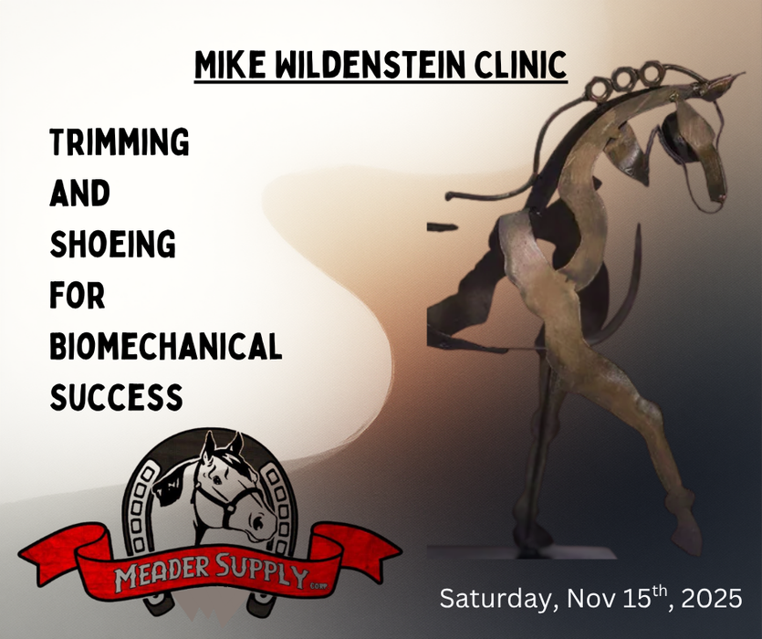 Mike Wildenstein Clinic