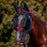 Weatherbeeta ComFiTec Fine Mesh Fly Mask with Ears & Nose