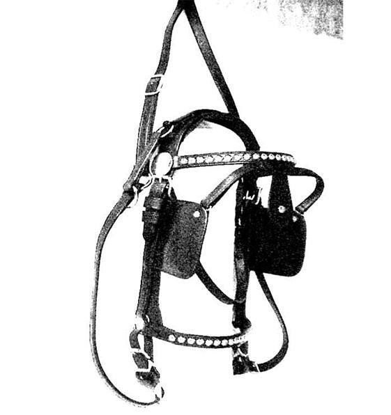 Leather Driving Bridle Spotted Draft