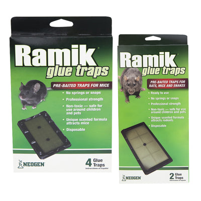 Ramik Glue Trap Trays