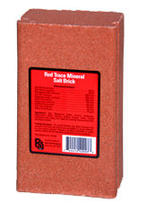 Trace Mineral Salt Brick