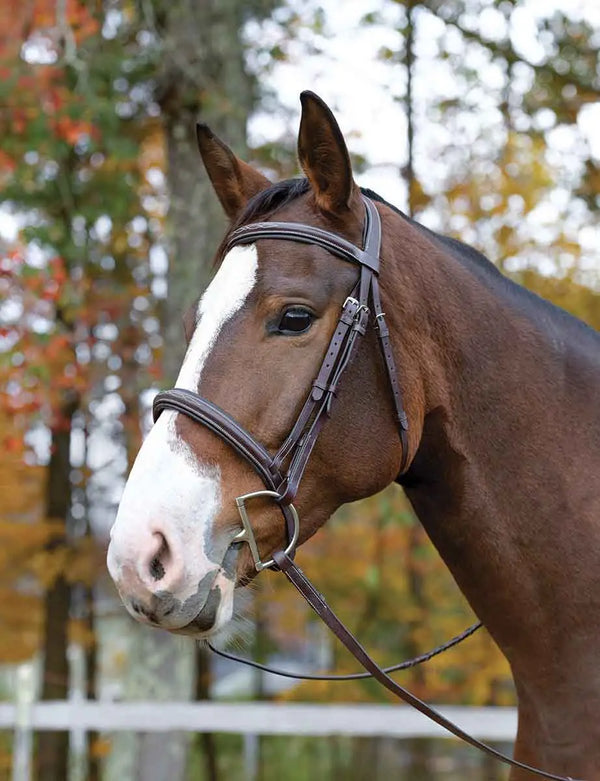 Horse Riding Bridles
