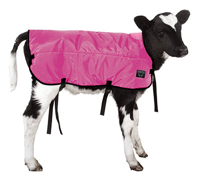 Calf Blanket (Regular) Pink