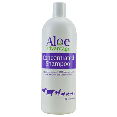 Aloe Advantage Concentrated Shampoo 32oz