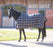 TEMPEST PLUS LITE STABLE RUG - SHIRES