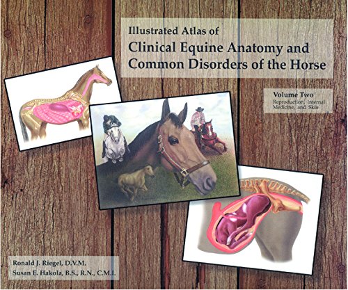 "Illustrated Atlas of Clinical Equine Anatomy & Common Disorders" Book