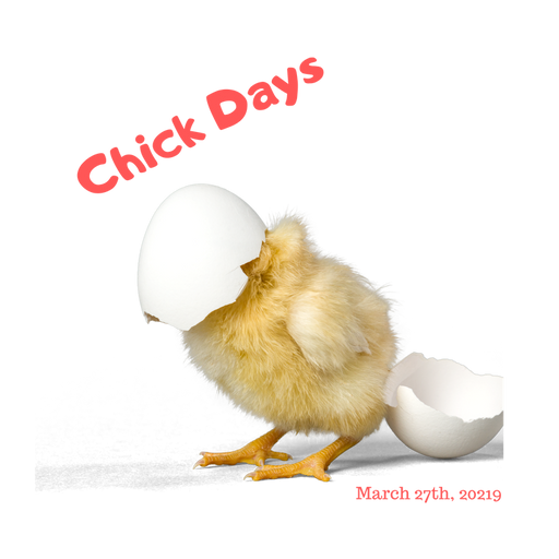 Chick Days Event