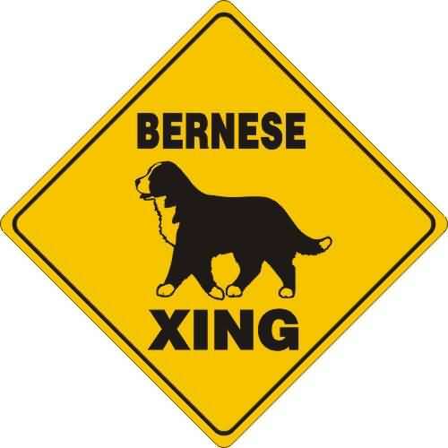 Bernese Mountain Dog X-ing Sign