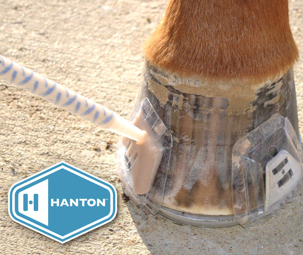 Hanton Hanton Horseshoes — Meader Supply Corp.