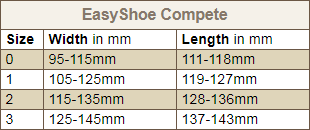 EasyShoe Compete