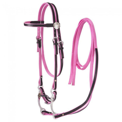 Pink Nylon With Leather Overlay