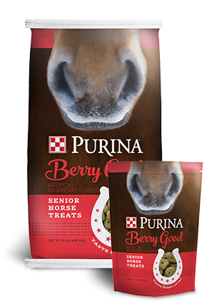 Purina Berry Good  Senior Horse Treats 3lbs