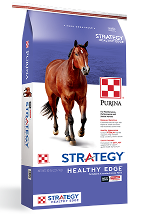 Strategy Healthy Edge 50lbs Textured