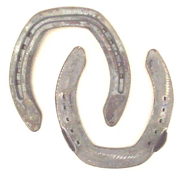 Shaper Horseshoes