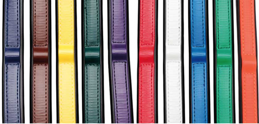 Colored Bridle Browbands