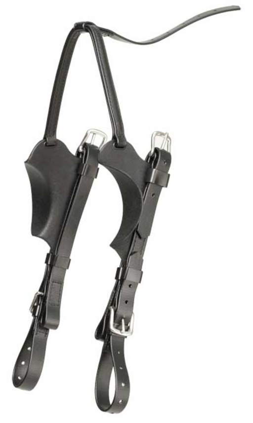 Dolly Varden Cutaway Blinders & Cheeks