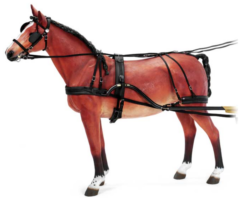 LV, Harness type : The lightweight model, horse