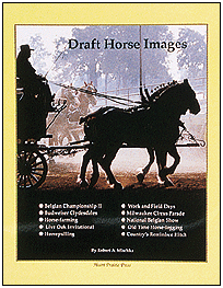 "Draft Horse Images" Book