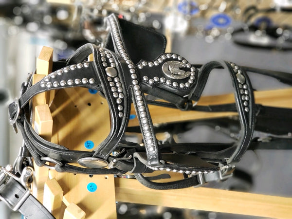 Horse Harnesses