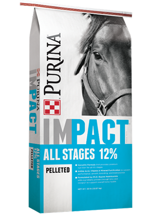 Purina Impact Horse Feed 50lbs