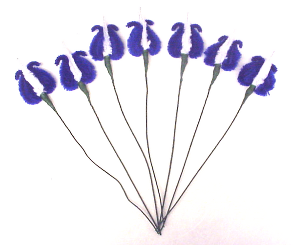 Horse Driving Show Supplies